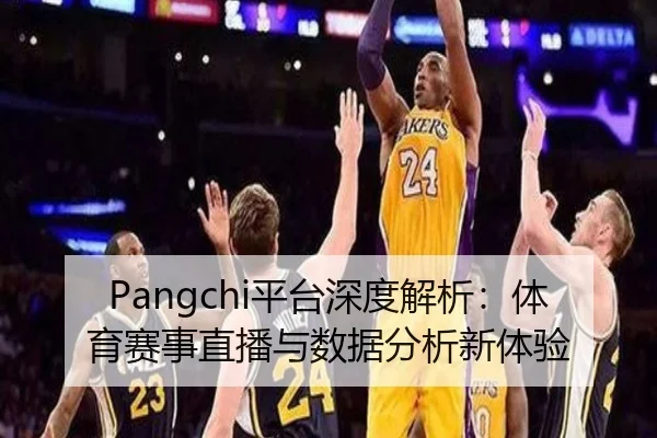 Pangchi平台深度解析：体育赛事直播与数据分析新体验